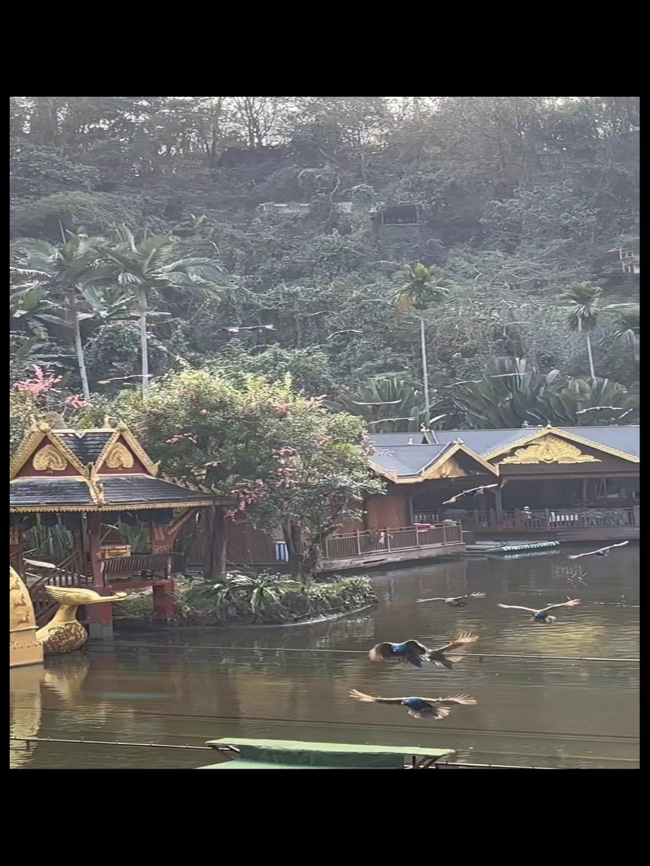 微信图片_20240306163650